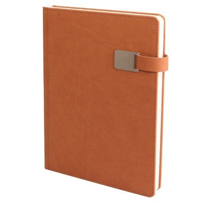 301725 ALTINOVA TABA TARİHLİ AJANDA