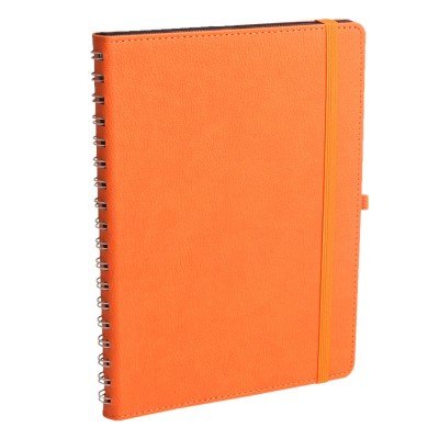 301916 ANITTEPE TURUNCU TARİHLİ AJANDA (17X24 CM)